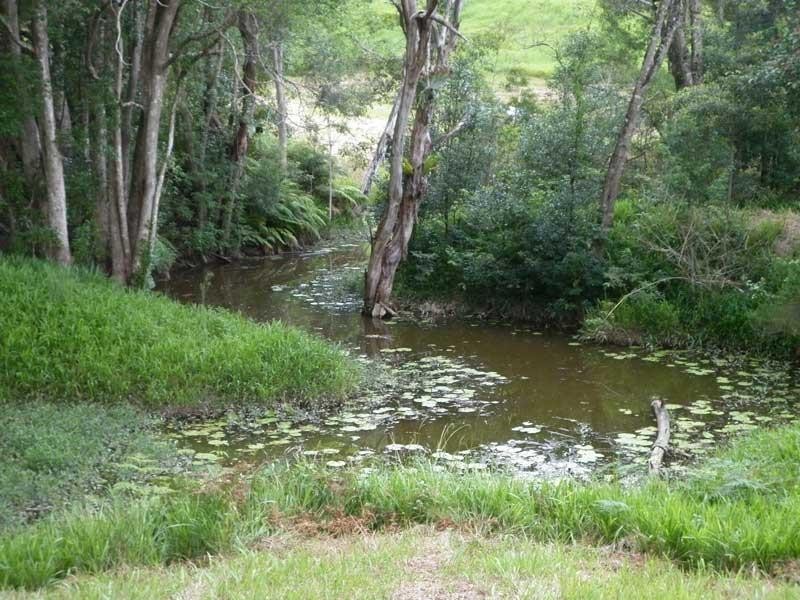 16 Teak Place, Nobbys Creek NSW 2484