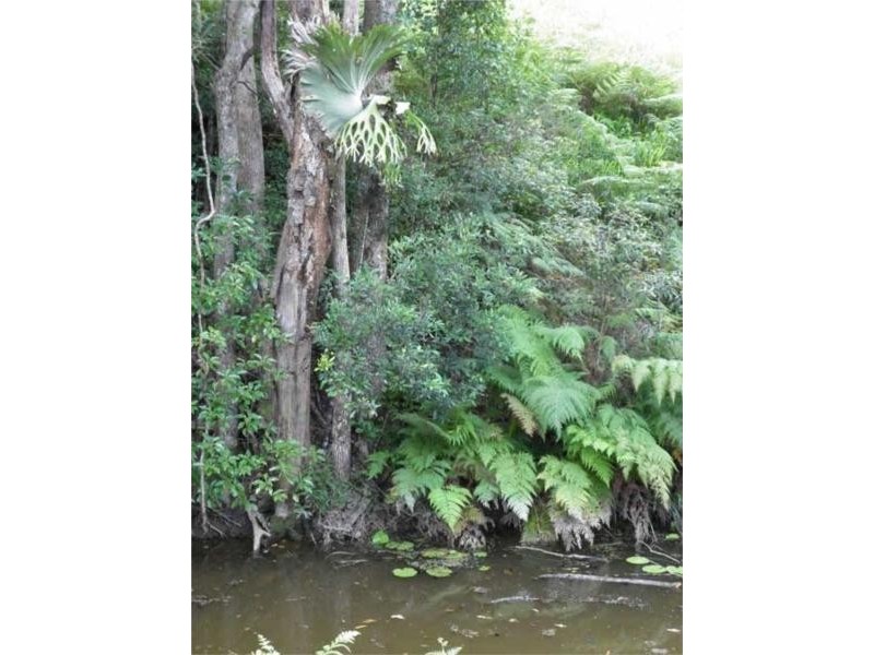 16 Teak Place, Nobbys Creek NSW 2484