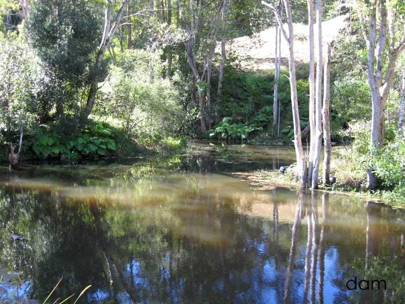 16 Teak Place, Nobbys Creek NSW 2484