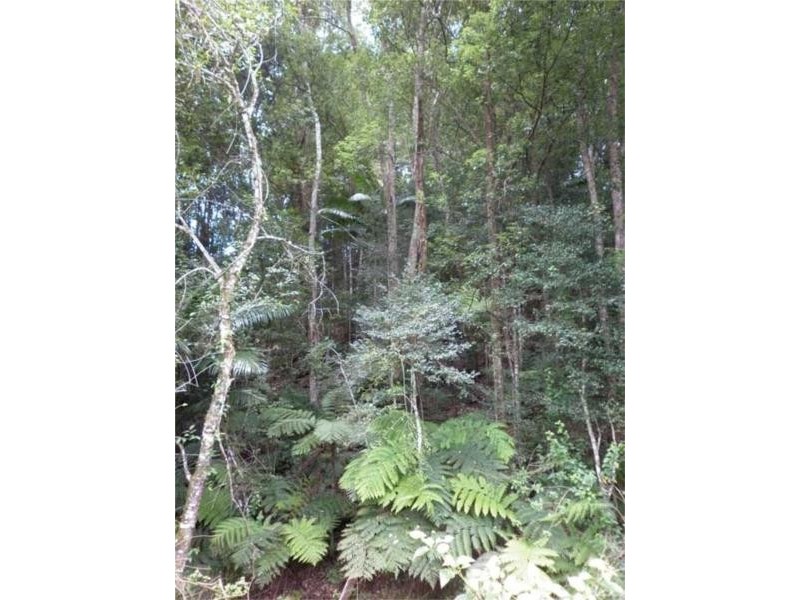 16 Teak Place, Nobbys Creek NSW 2484