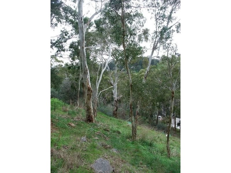 3 (Lot 48) Northview Way, Teringie SA 5072