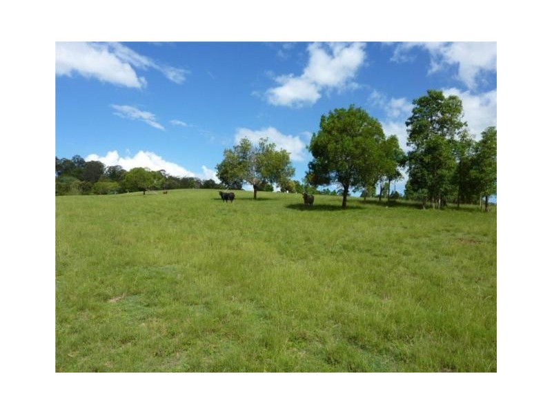 389 Birnam Range Road, Beaudesert QLD 4285