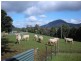 470 Allison Road, North Motton, North Motton TAS 7315