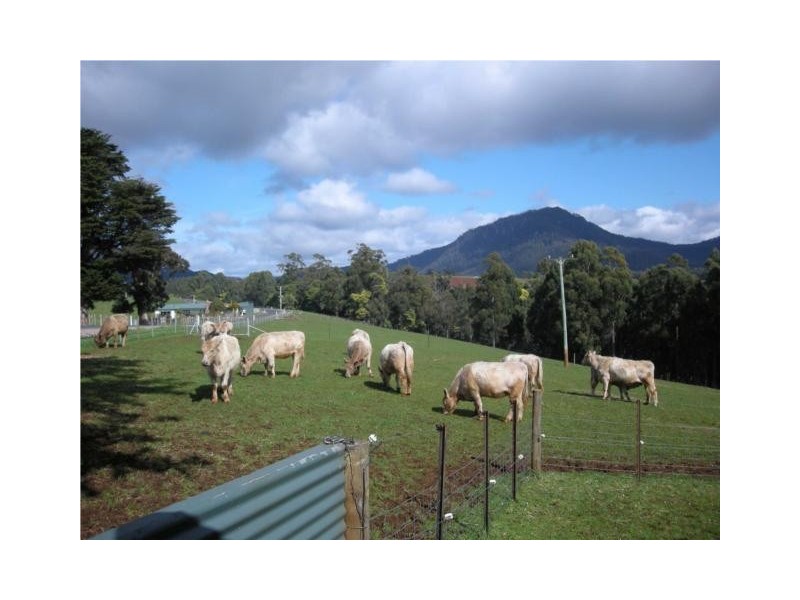 470 Allison Road, North Motton, North Motton TAS 7315