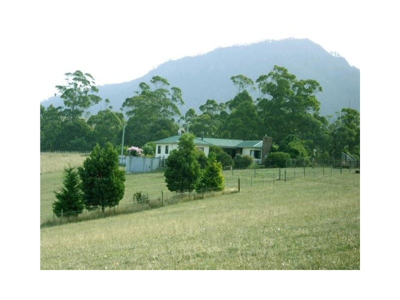 470 Allison Road, North Motton, North Motton TAS 7315