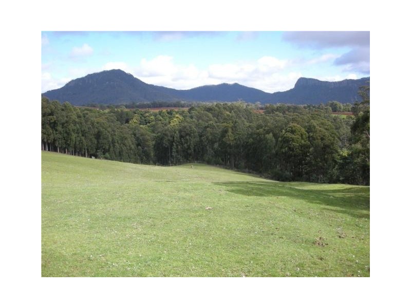 470 Allison Road, North Motton, North Motton TAS 7315