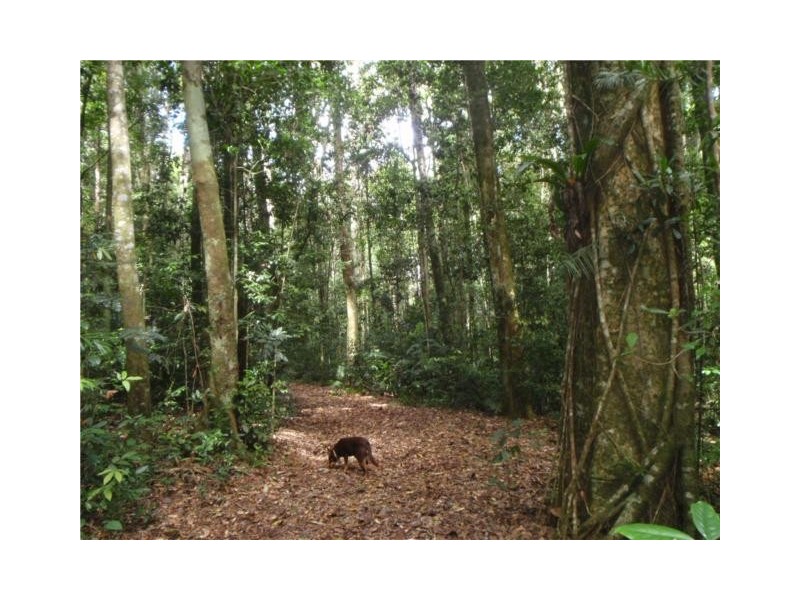 1 Ravenshoe, Ravenshoe QLD 4888