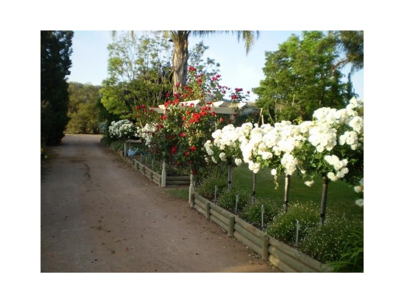 Lot 4 Bookmark Avenue, Renmark SA 5341