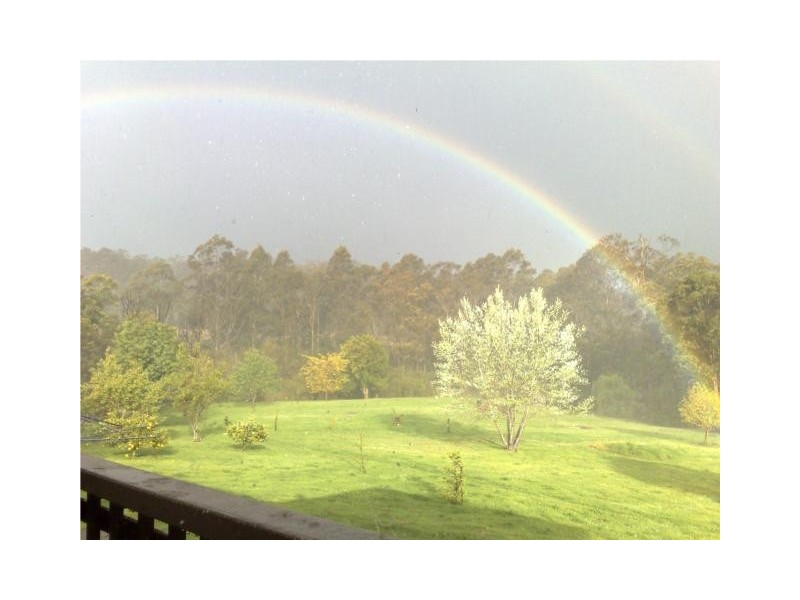 35 Vidler Road, Falls Creek NSW 2540