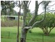 1588 Comerong Island Road Comerong Island, Berry NSW 2535