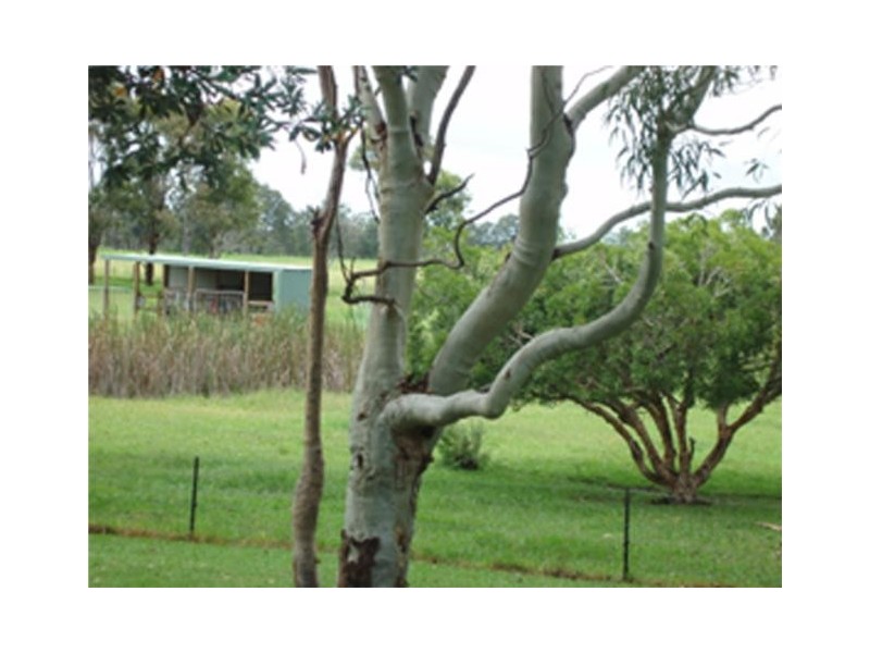 1588 Comerong Island Road Comerong Island, Berry NSW 2535