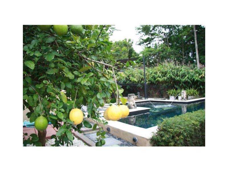 12 Blueberry Close, Forest Gardens, Mount Sheridan QLD 4868