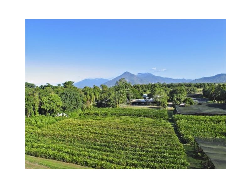 249 Warner Rd Gordonvale via Cairns, Gordonvale QLD 4865