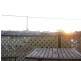 32 Atherton Street, Mount Isa QLD 4825
