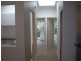 407A Harris Street, Ultimo NSW 2007
