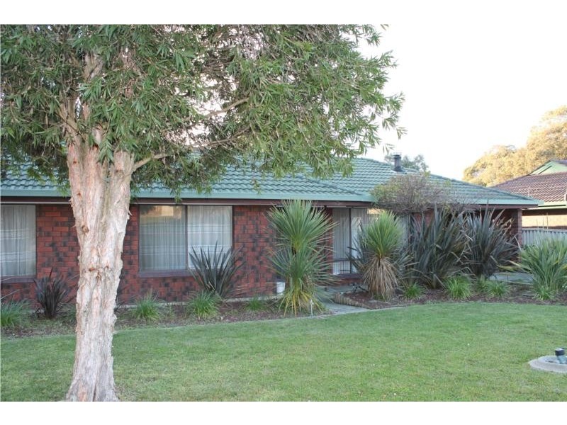 17 Campbell Street, Millicent SA 5280