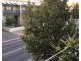 10/10 Quarry Street, Fremantle WA 6160