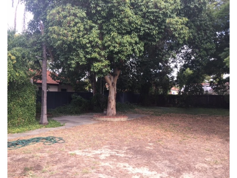 31 Florence Road, Nedlands WA 6009