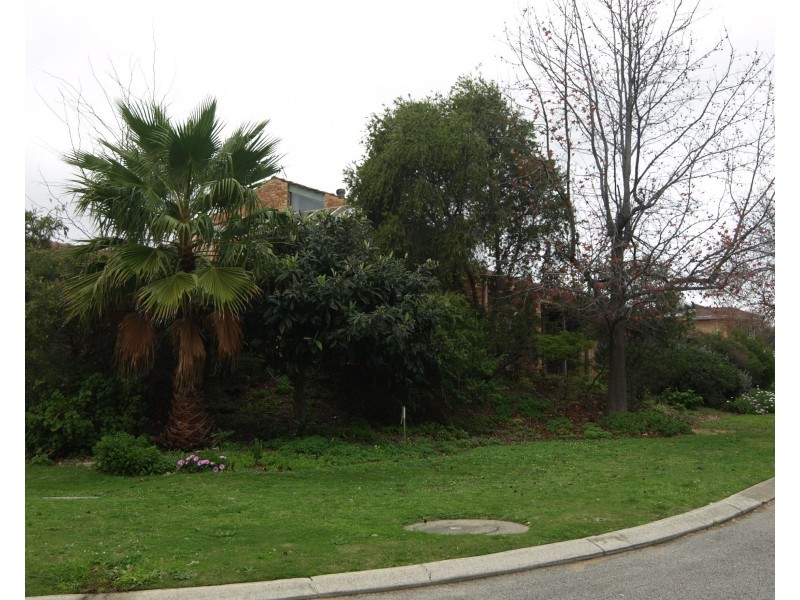 23 Wanstead Street, Gwelup WA 6018