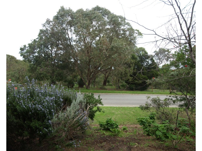 23 Wanstead Street, Gwelup WA 6018