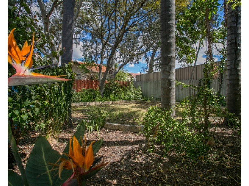 6 Sanderson Street, Embleton WA 6062