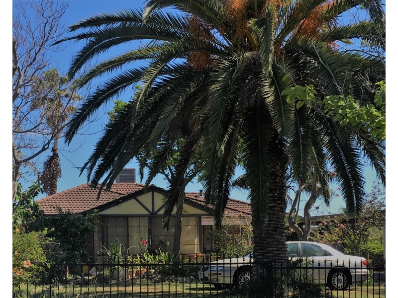 50 Wheeler Road, Hamilton Hill WA 6163