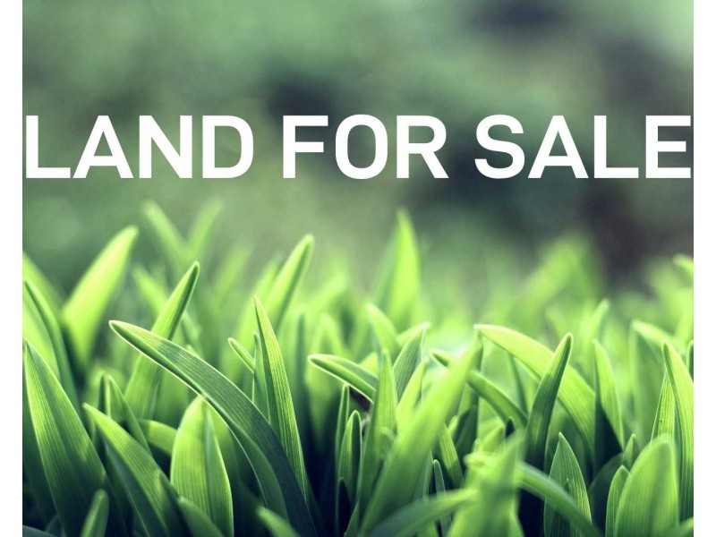 Logan Reserve QLD 4133