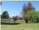 Stanthorpe QLD 4380