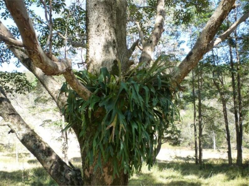 Stanthorpe QLD 4380