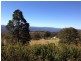 1158 Rivertree Road, Stanthorpe QLD 4380