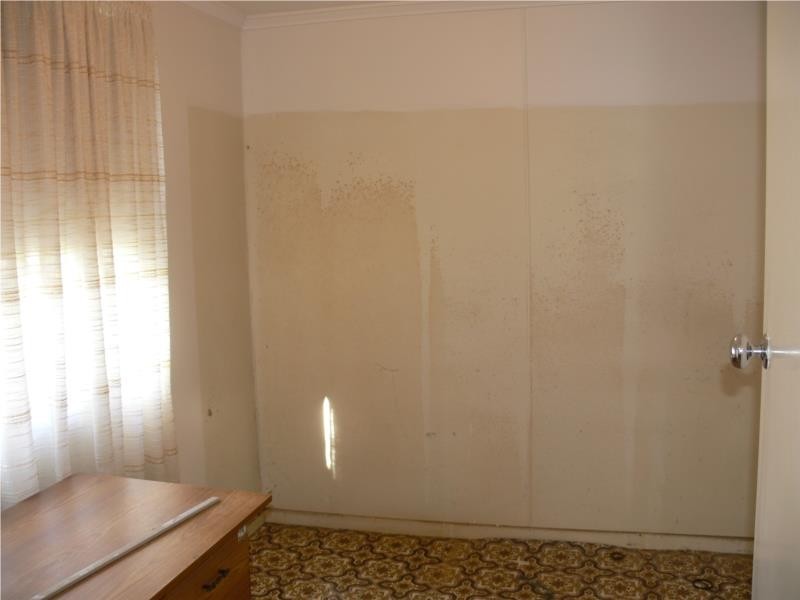 33 Amosfield Road, Stanthorpe QLD 4380