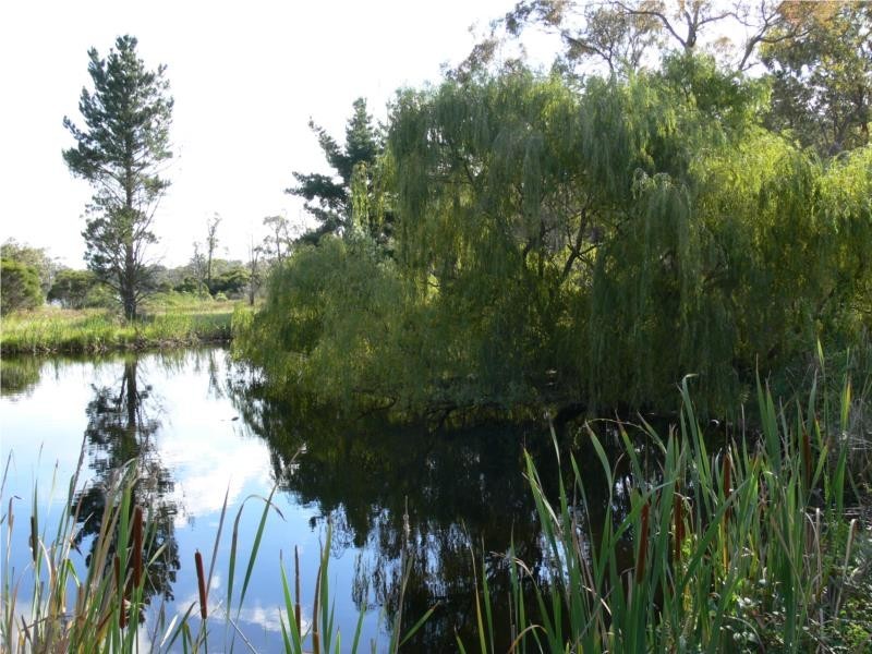 33 Amosfield Road, Stanthorpe QLD 4380