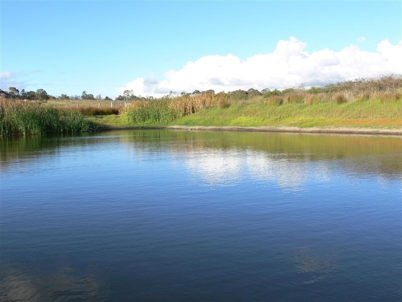 92 Ellwood Road, Applethorpe QLD 4378