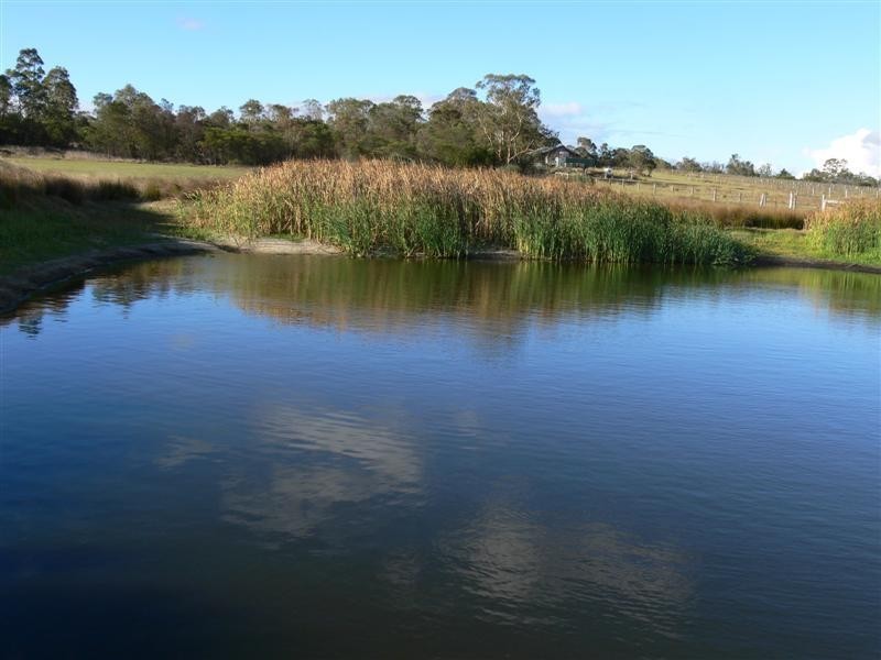 92 Ellwood Road, Applethorpe QLD 4378