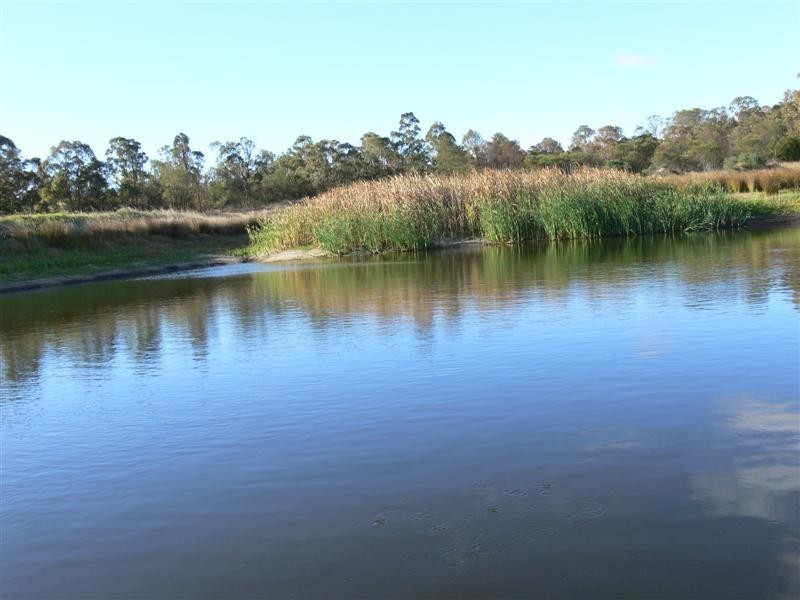 92 Ellwood Road, Applethorpe QLD 4378