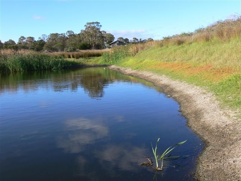 92 Ellwood Road, Applethorpe QLD 4378