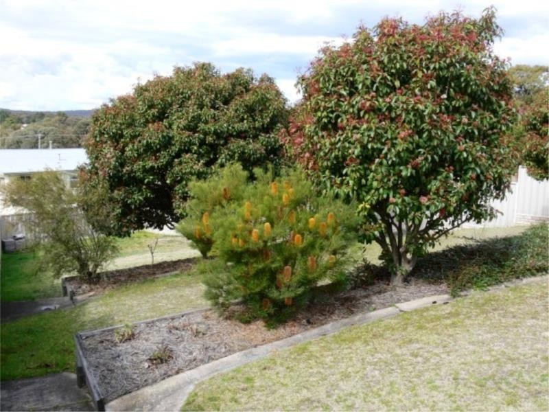 108 Sugarloaf Road, Stanthorpe QLD 4380