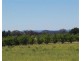 596 Old Warwick Road, Stanthorpe QLD 4380