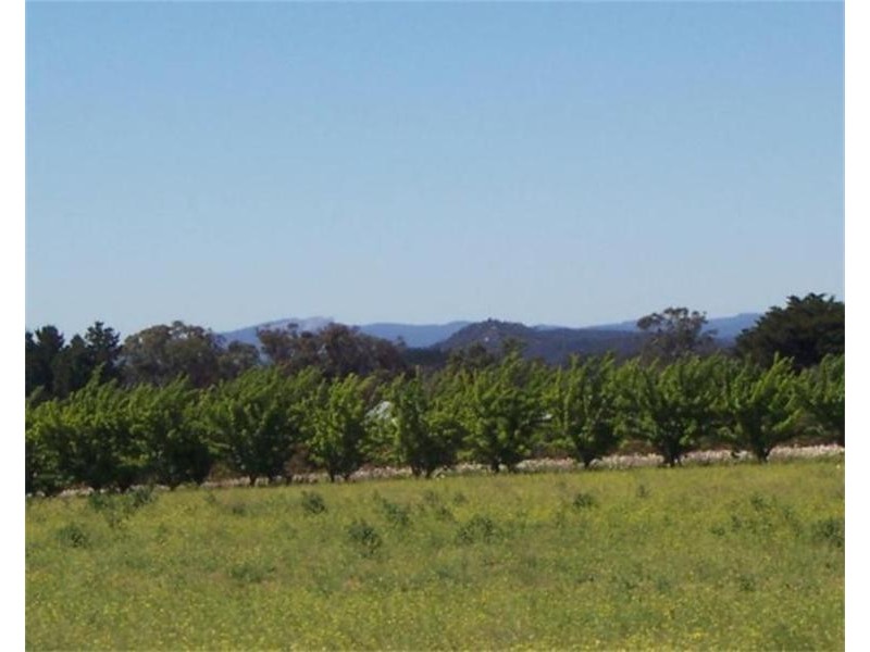 596 Old Warwick Road, Stanthorpe QLD 4380