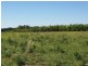 596 Old Warwick Road, Stanthorpe QLD 4380