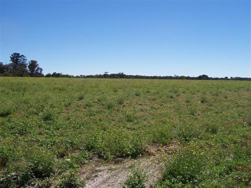 596 Old Warwick Road, Stanthorpe QLD 4380