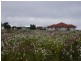 596 Old Warwick Road, Stanthorpe QLD 4380