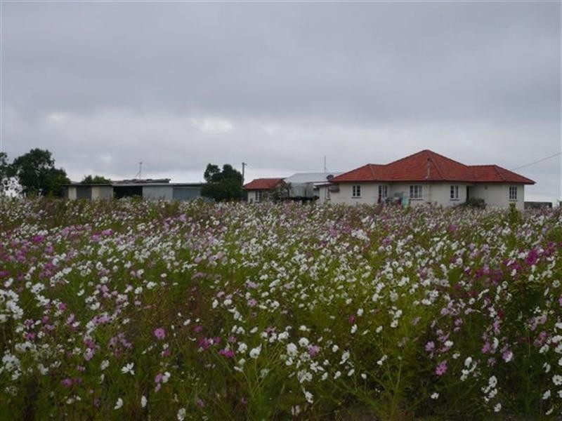 596 Old Warwick Road, Stanthorpe QLD 4380