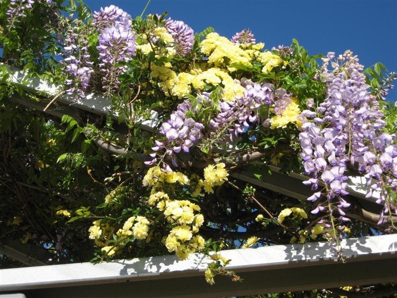 1a Torrisi Terrace, Stanthorpe QLD 4380