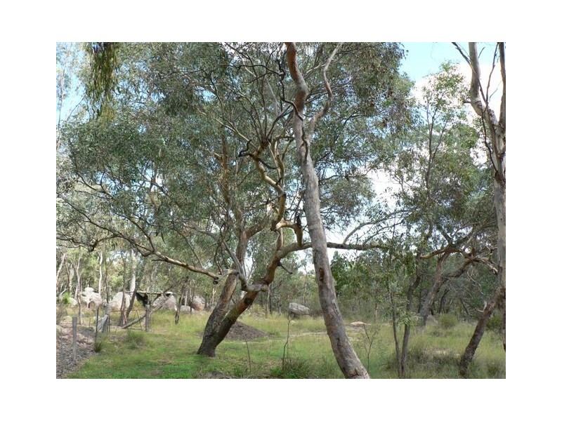 72 Watters Road, Ballandean QLD 4382