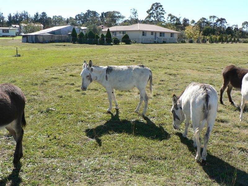 277 Granite Belt Drive, Stanthorpe QLD 4380