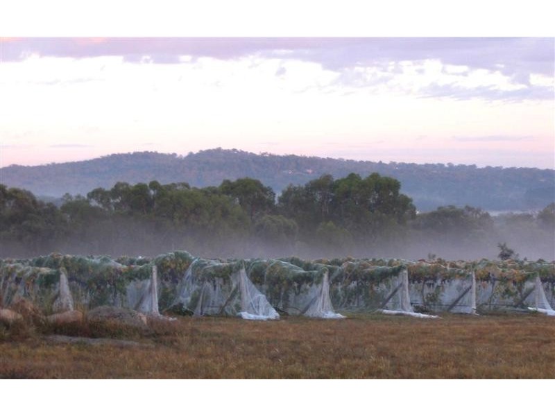 25 Turner Road, Stanthorpe QLD 4380