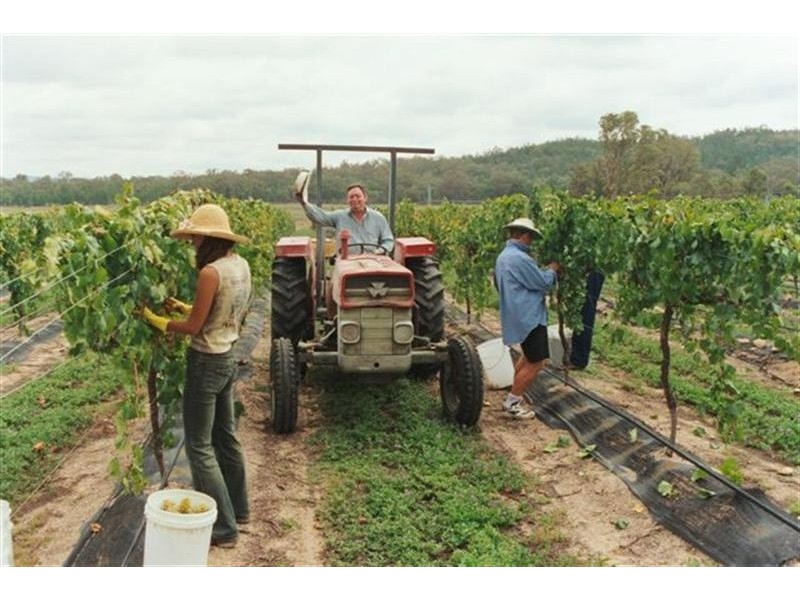 25 Turner Road, Stanthorpe QLD 4380