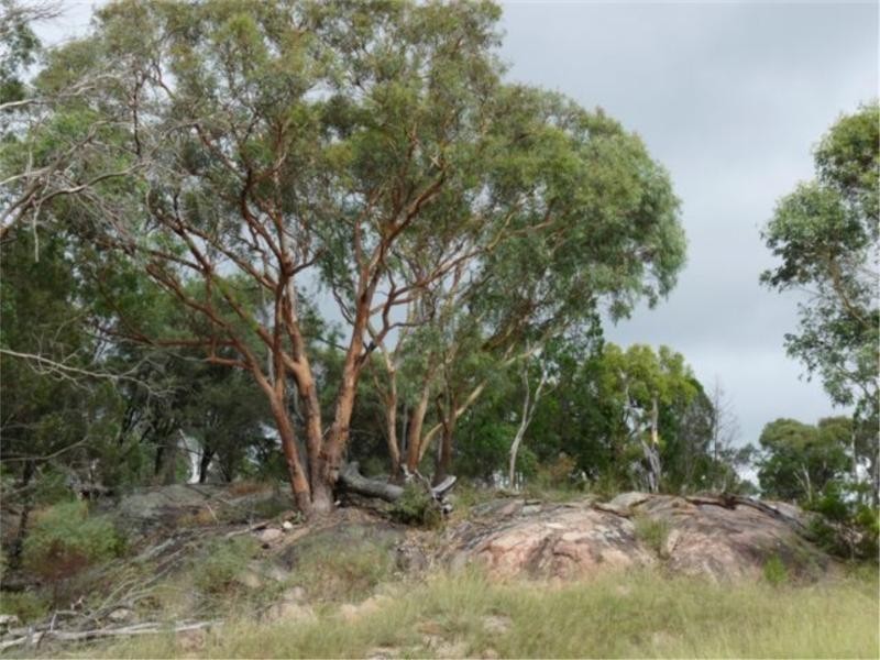 505 Goldfields Road, Stanthorpe QLD 4380