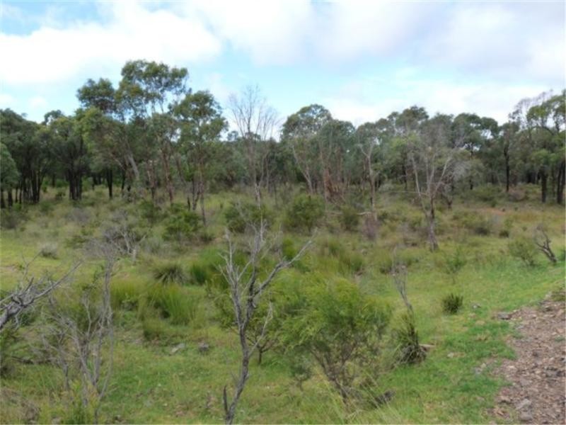 505 Goldfields Road, Stanthorpe QLD 4380